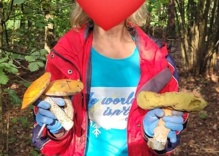 Апартаменты Przy Lesie *